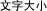 文字大小