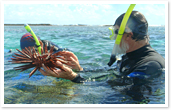 在中途岛开展“珊瑚礁保护项目”有关研究活动