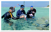 在冲绳实施“珊瑚礁保护项目”有关研究活动