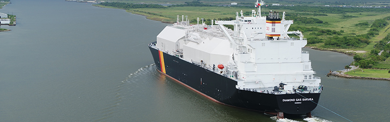 LNG液化天然气进出口业务