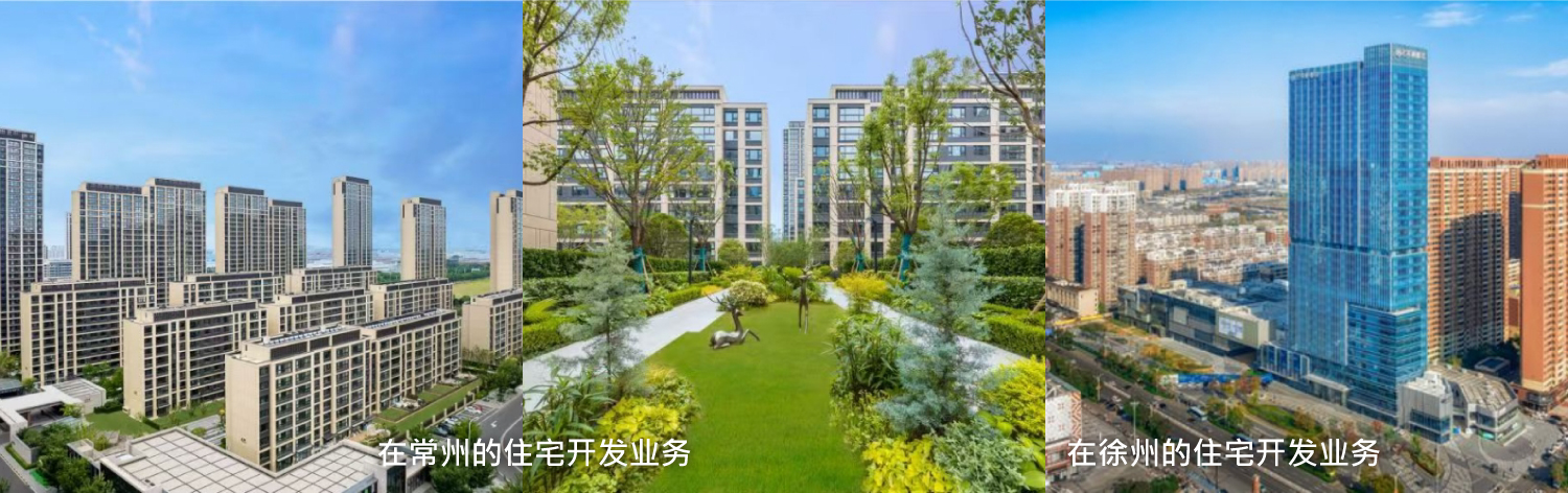 在辽宁省沈阳市的住宅开发业务 / 在江苏省徐州市的综合体开发业务