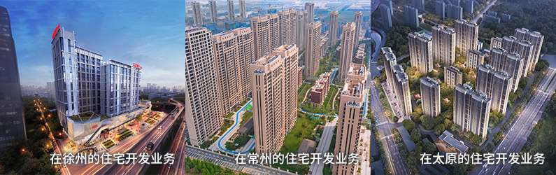 在辽宁省沈阳市的住宅开发业务 / 在江苏省徐州市的综合体开发业务