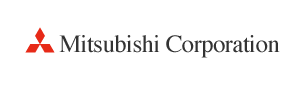 Mitsubishi group структура