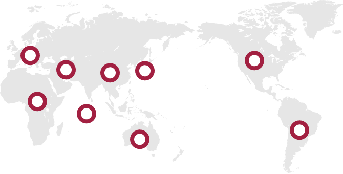 グローバルネットワーク（国・地域）