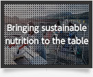 Bringing sustainable nutrition to the table