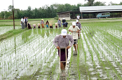 Support for the Agriculture and Leadership Training Center in the central dry region of Myanmar