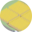 Grain Field