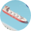 Shipping (LNG)
