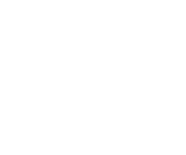 Katsuya Nakanishi President & CEO