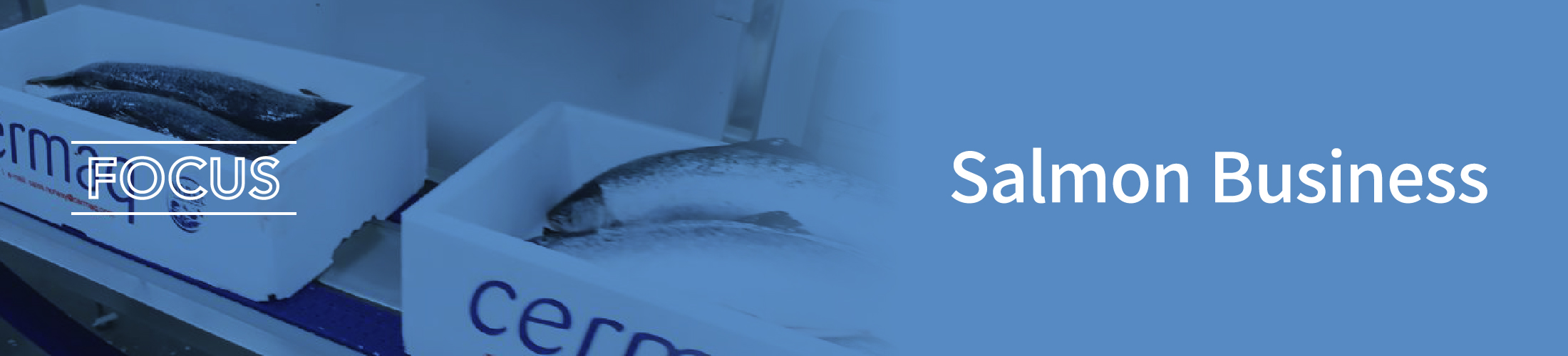 Salmon Business
