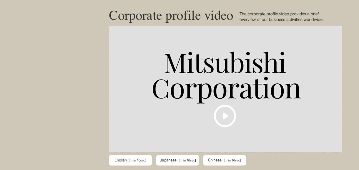 Corporate profile video