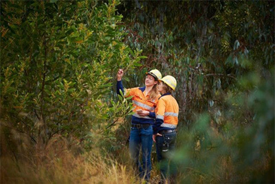 Land Rehabilitation at Post-mining Sites