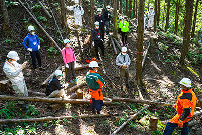 Forest Conservation Project: Mitsubishi Corporation Thousand Year Forest (Also Known as Yataro’s Forest)