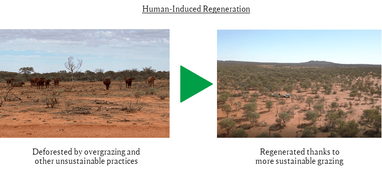 Regeneration Project/Investment in Australian Integrated Carbon Pty Ltd
