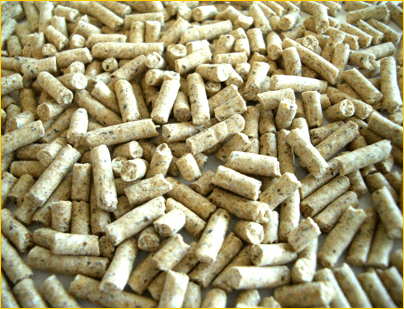 Recycling and Closed-Loop Business Initiatives (Livestock Feed Production Business)