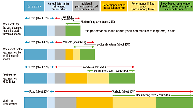 Conceptual Image of Payment Mix for Remuneration of Executive Directors