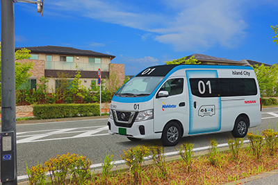Solutions for Regional Transportation Challenges through On-demand Mobility Services