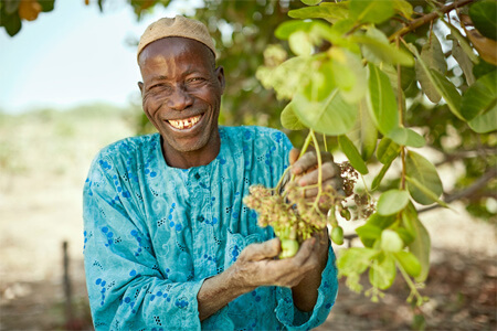 Implementing Human Rights Due Diligence for Business Activities