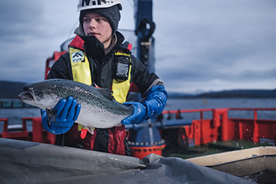 Cermaq Initiatives