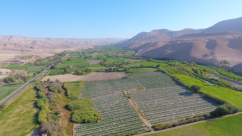 “Agro Quellaveco”Project which funds and helps farmers