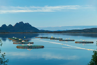 Cermaq Initiatives