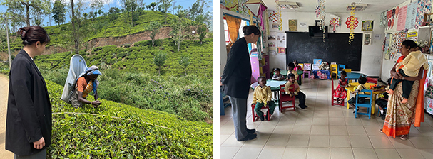 Tea plucking／Nursery school