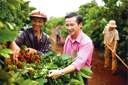 Coffee_Harvesting