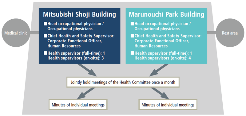 Health Committee Implementation Structure