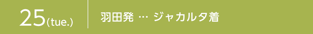 8月25日（火）羽田発　ジャカルタ着