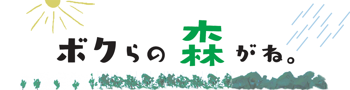 ボクらの森がね。